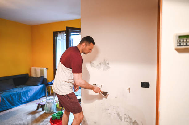 Best DIY Mold Remediation Support Services in Homewood, IL